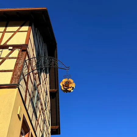 Boardinghouse Zur Rose בית אירוח